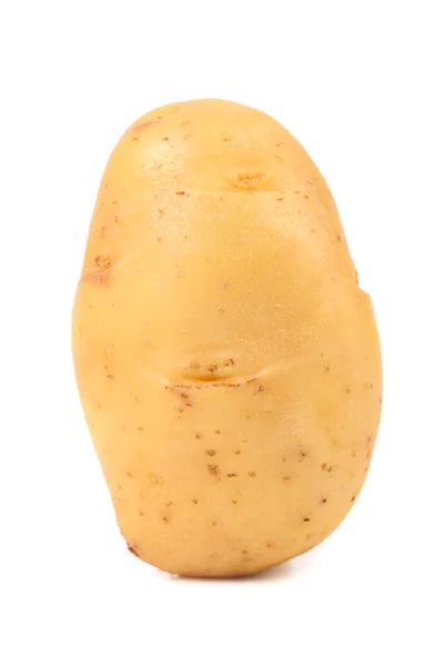 Картопля ізольована крупним планом — стокове фото
