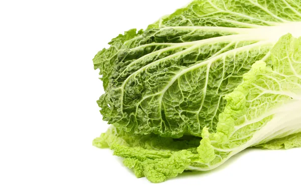 Frame of chinese cabbage — Stock Photo, Image