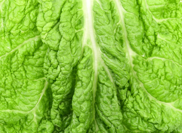 Background of leaf chinese cabbage. — Stock Photo, Image