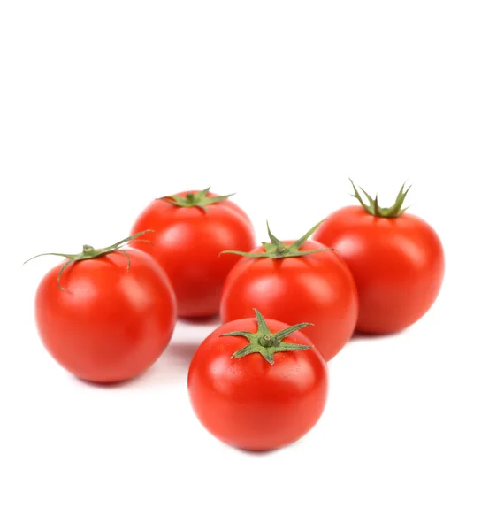 Fresh tomatoes with green leaves — Stock Photo, Image