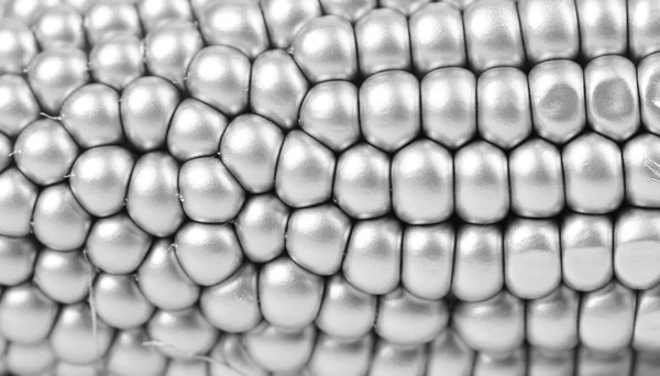 Antecedentes de siver corcob. Macro . — Foto de Stock