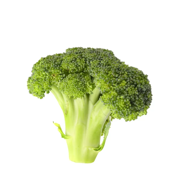 Broccoli plantaardige geïsoleerd op wit — Stockfoto