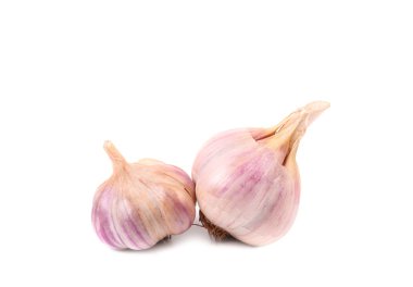 sarımsak. yakın çekim.