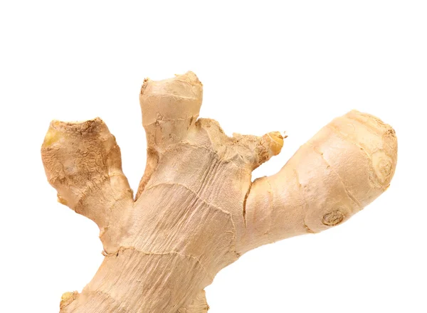 Root ginger isolated on a white — Stock Photo, Image