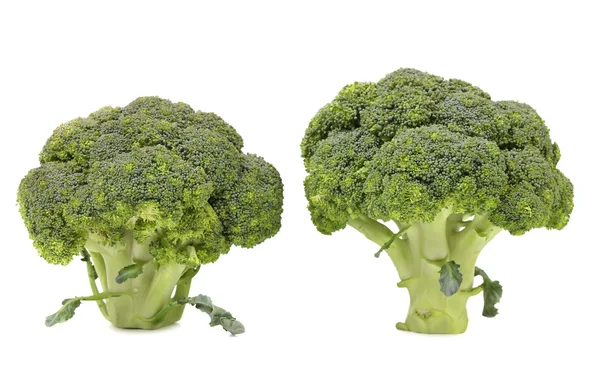 Gezonde broccoli. — Stockfoto