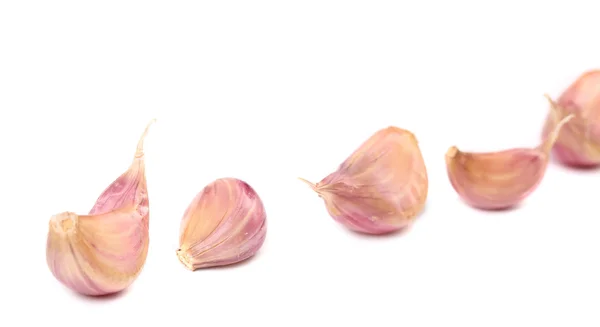 Cloves of garlic. — Stock Photo, Image