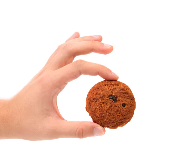 Hand holds oatmeal raisin cookie. — Stock Photo, Image