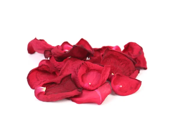 Pétalas de rosa isoladas sobre branco — Fotografia de Stock