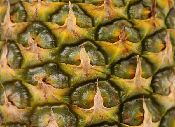 Background of pineapple fruit. Close up. — Stock Photo, Image