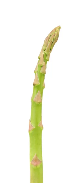 Asparagi freschi . — Foto Stock
