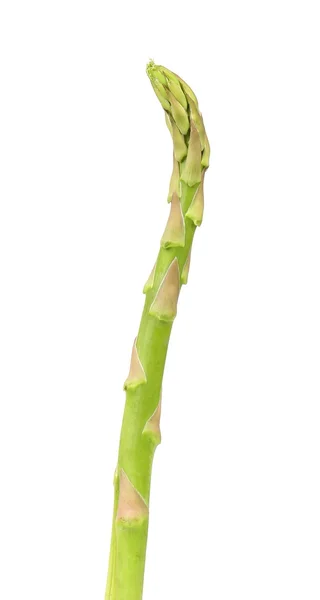 Fresh asparagus. — Stock Photo, Image