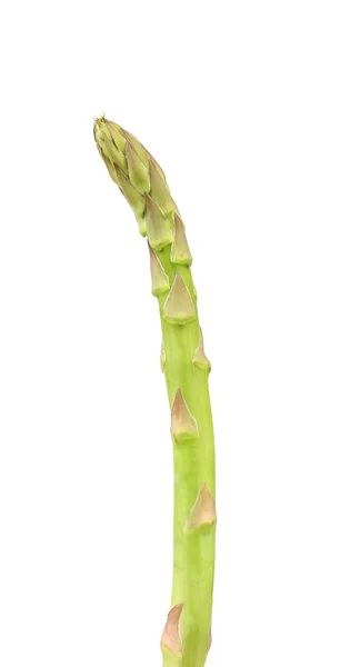 Asparagi freschi . — Foto Stock