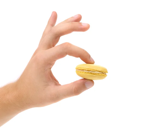 Hand holds macaron cake. — Stock Photo, Image