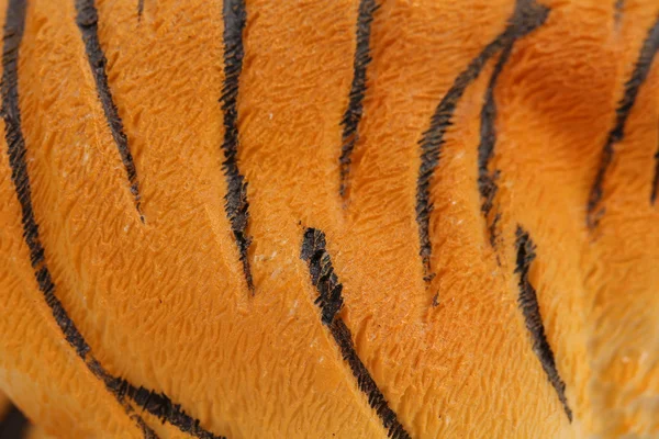 Artificial skin of tigre. — Stock Photo, Image
