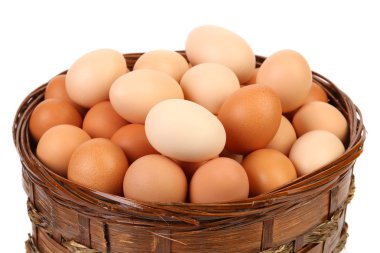 yumurta toplama izole