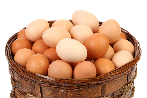 Egg collection isolated