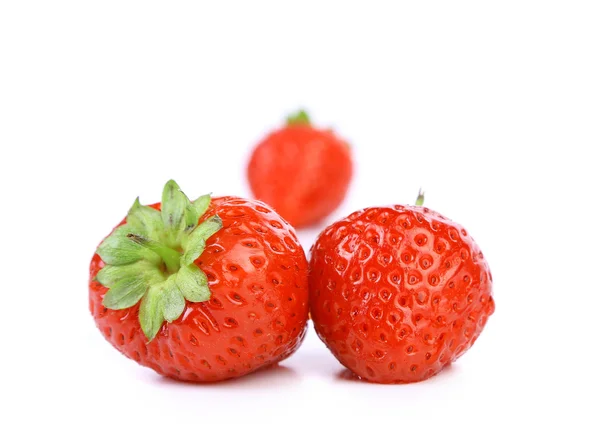Strowberries — стоковое фото