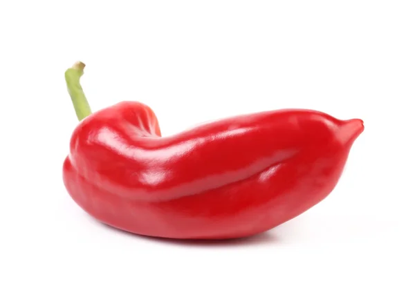 Rode paprika geïsoleerd — Stockfoto