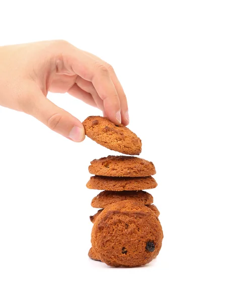 Oatmeal chocolate chip cookies — Stock Photo, Image