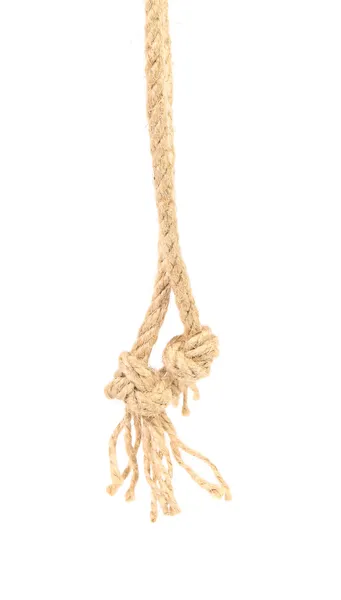 Knot on ropes. — Stock Photo, Image