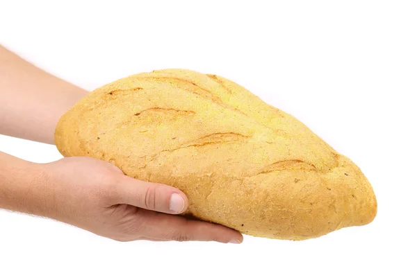 Hand holds bread of corn meal. — Stock Photo, Image