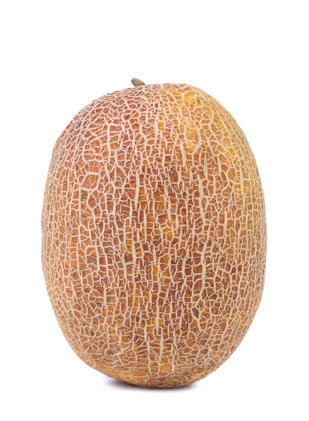 Ripe melon isolated on white background — Stock Photo, Image