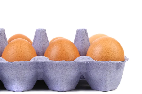 Sex brown eggs. — Stock Photo, Image