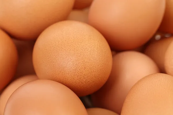 Close up of many fresh eggs — Stock Photo, Image