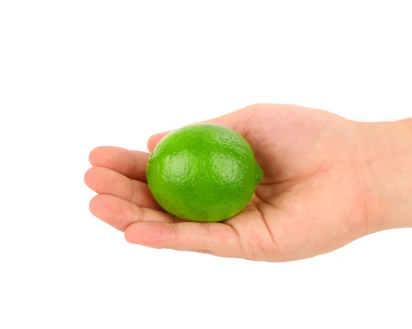Hand holding green lemon — Stockfoto