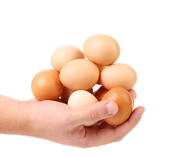 Manos sosteniendo huevos aislados — Foto de Stock