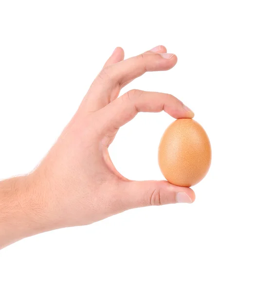 Mão de homem segura um ovo marrom delicado — Fotografia de Stock