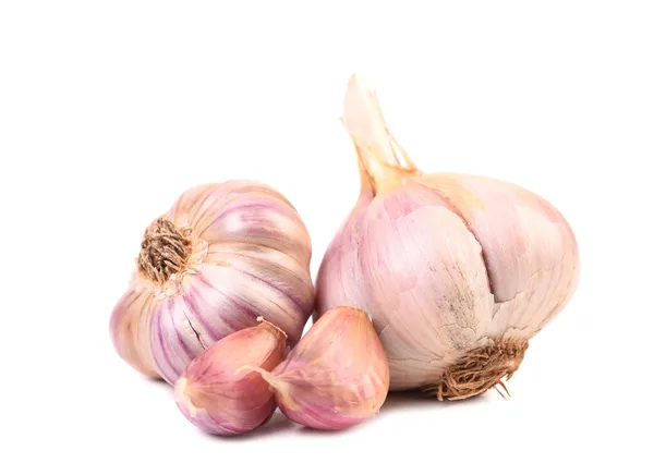 Garlics och kryddnejlika isolerad på vit bakgrund — Stockfoto
