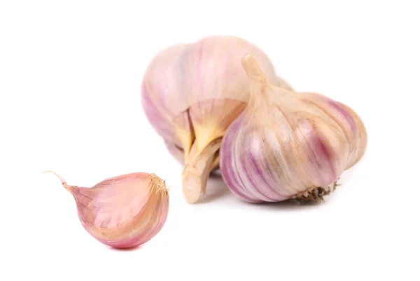 Garlics and clove. — Stock Photo, Image