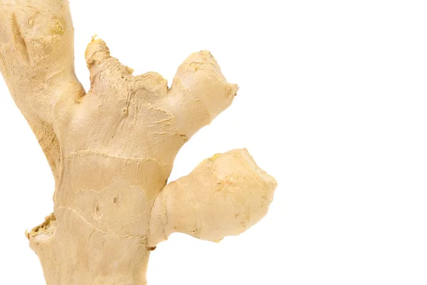Fresh ginger on a white background — Stock Photo, Image