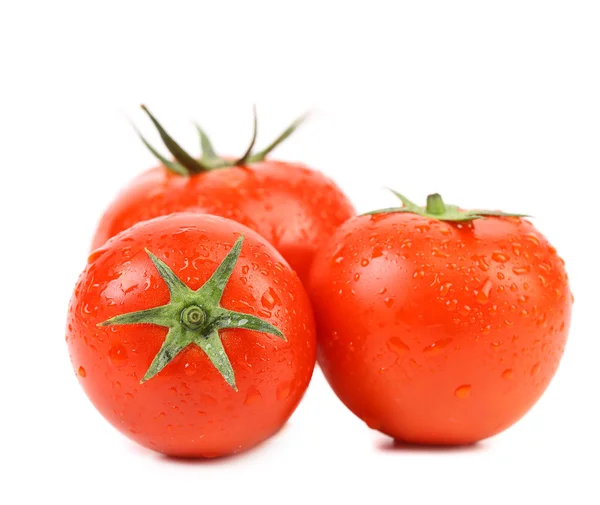 Tomatoes with drops isolated — Stock Photo, Image
