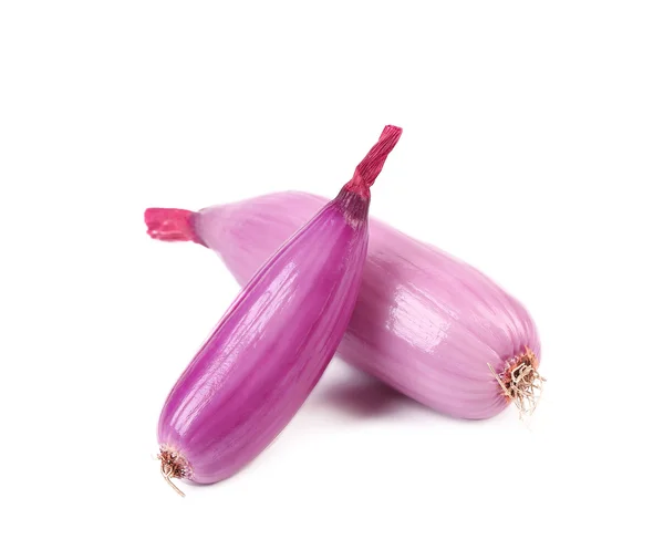 Red onion bulbs — Stock Photo, Image