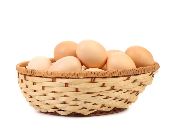 Egg collection isolated on white background — Stock Photo, Image