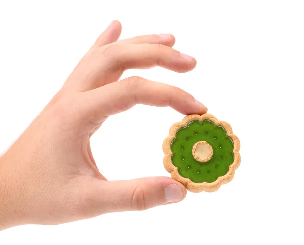 La mano sostiene la galleta con mermelada de kiwi . —  Fotos de Stock
