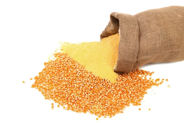 Corn meal and grain in bag — Stock Photo, Image
