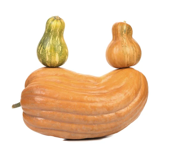 Composition of pumpkins. — Stock Photo, Image