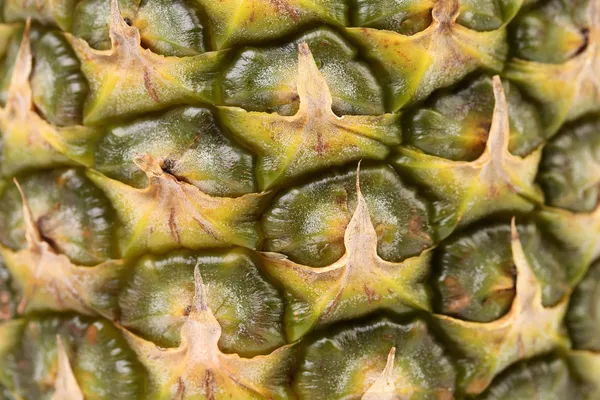 Pineapple fruit close up. — Stock Photo, Image