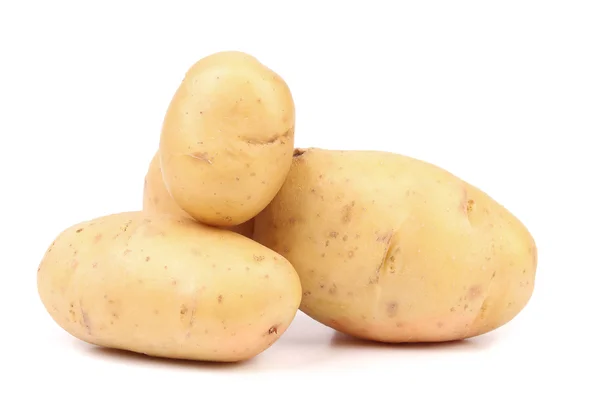 Färsk potatis. — Stockfoto
