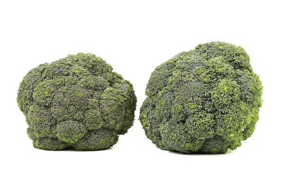 Broccoli vegetable isolated on white — Stock Photo, Image