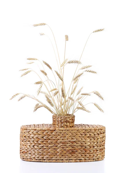 Плетеная ваза с колосьями пшеницы — стоковое фото