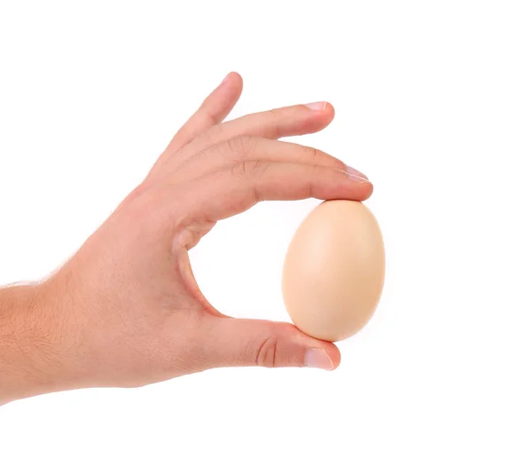 Man hand håller en brun delikat ägg — Stockfoto