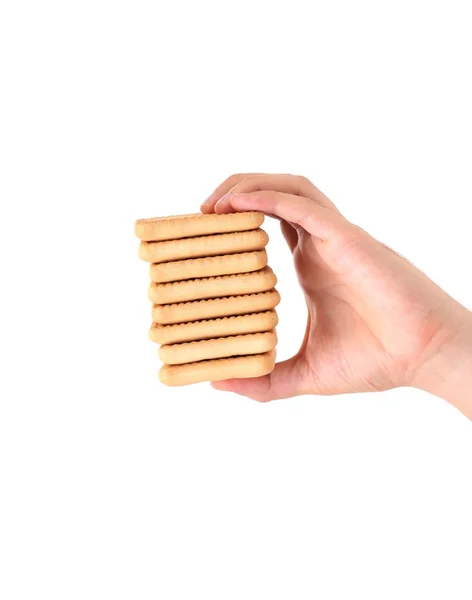 Hand holds stake saltine soda cracker. — Stock Photo, Image