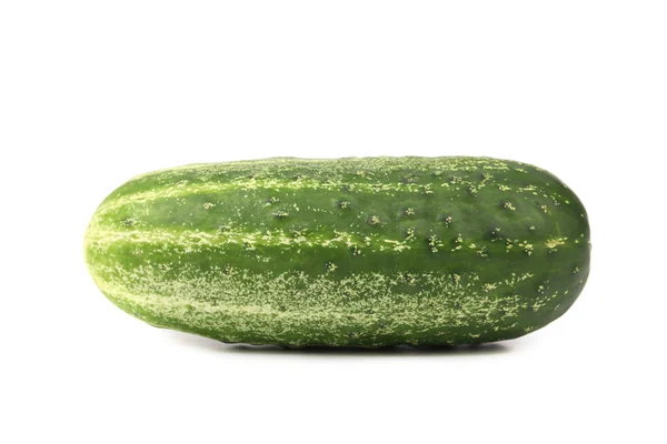 Single green cucumber — Stock Photo, Image