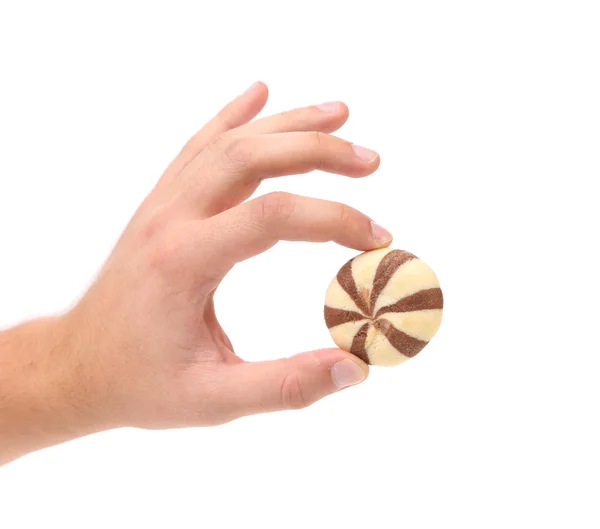 Hand holds cookie biscuits. — Stock Photo, Image