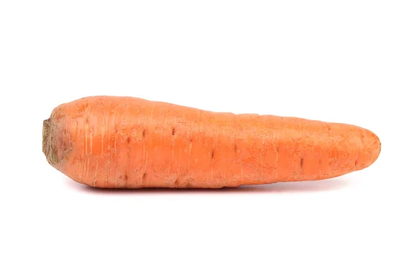 Свежая морковь изолирована — стоковое фото
