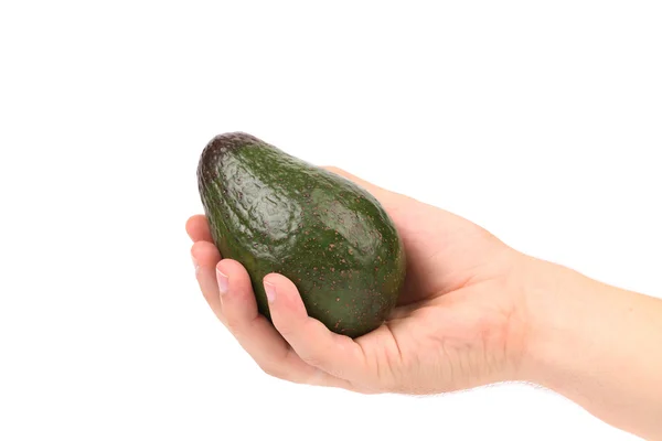 Hand houdt verse avocado. — Stockfoto